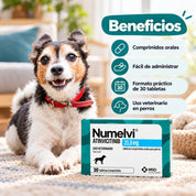 Infografía de Numelvi 21,6 mg con un perro tricolor junto a la caja: comprimidos orales, fáciles de dar, caja de 30 tabletas