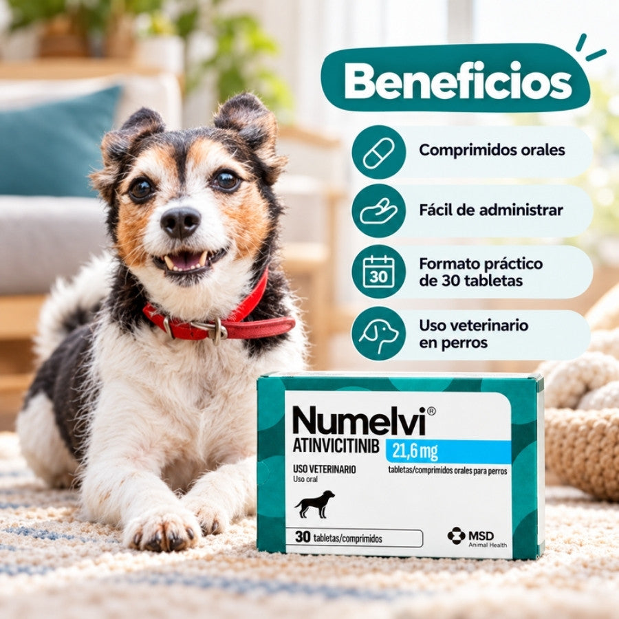 Infografía de Numelvi 21,6 mg con un perro tricolor junto a la caja: comprimidos orales, fáciles de dar, caja de 30 tabletas