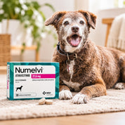 Perro senior de pelaje café recostado en una alfombra junto a la caja de Numelvi 31,6 mg y dos comprimidos al frente