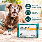 Perro senior café junto a la caja de Numelvi 4,8 mg con íconos: alivio de la picazón, una toma al día y comprimido divisible