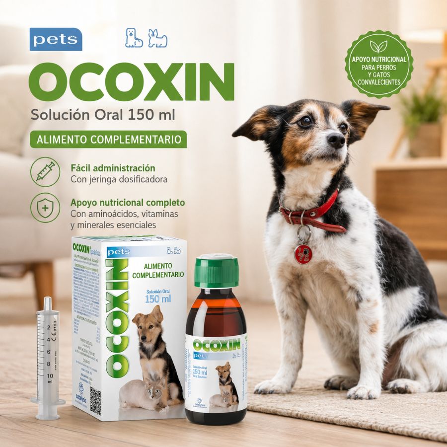 Ocoxin Pets, apoyo nutricional con aminoácidos, vitaminas y minerales para perros y gatos convalecientes