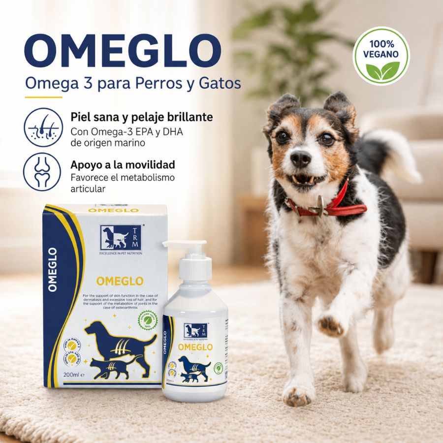 Omeglo TRM omega 3 para perros y gatos junto a un perro en casa, con beneficios para piel, pelaje y movilidad, 200 ml