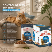 Pack 12u Royal Canin Pouch Light Weight Care alimento húmedo bajo en calorías para gatos adultos. Favorece el control de peso y mejora la hidratación.