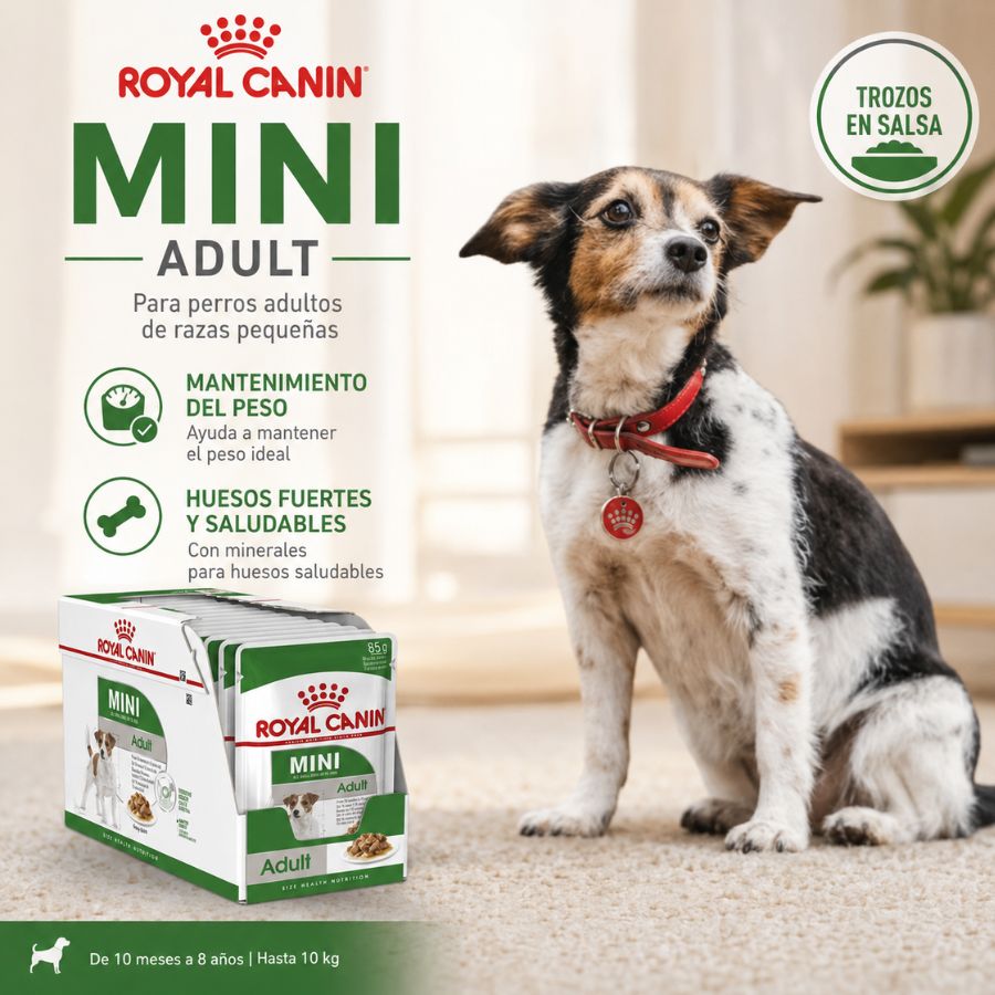 Perro de raza pequeña junto al pack de Royal Canin Mini Adult Pouch: mantenimiento del peso y huesos fuertes
