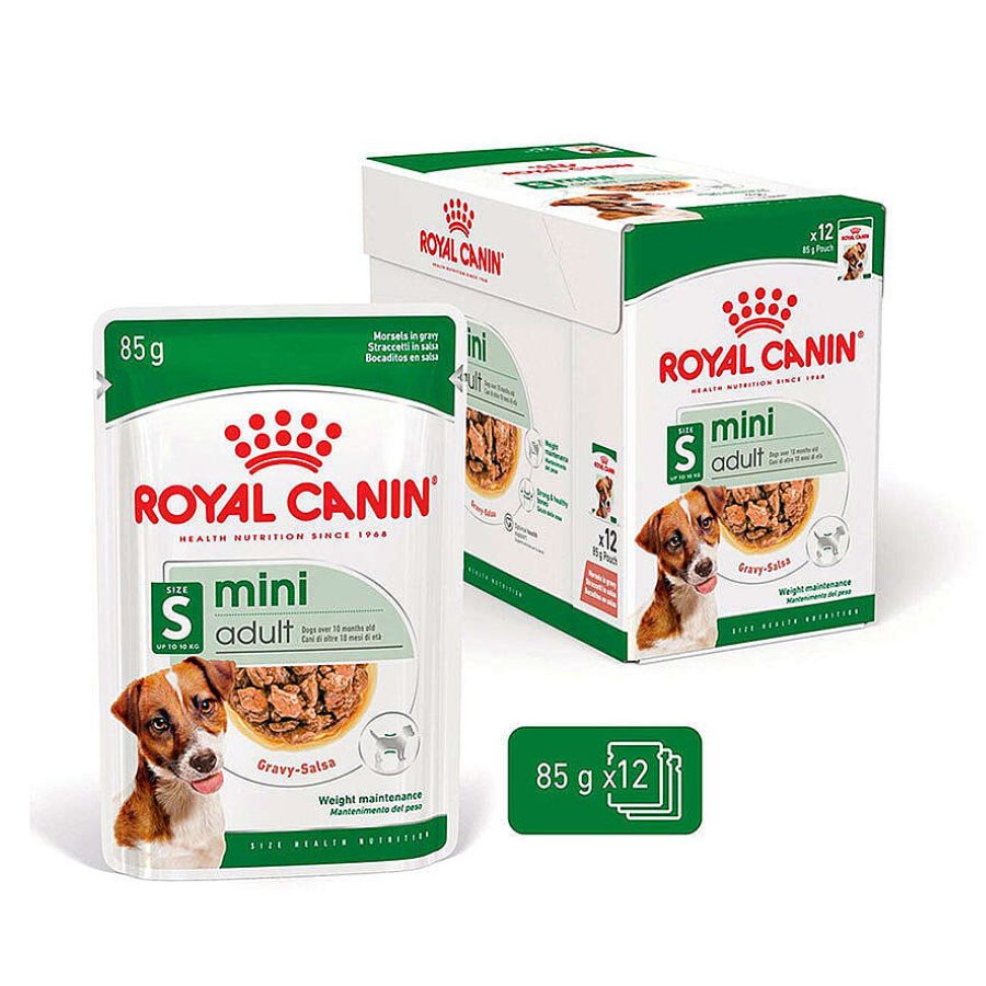 Perro de raza pequeña junto al pack de Royal Canin Mini Adult Pouch: mantenimiento del peso y huesos fuertes