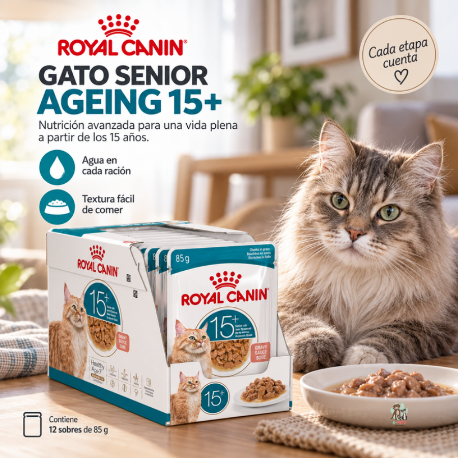 Pack Royal Canin Ageing 15+ con 12 sobres de 85 g junto a un gato senior a la hora de su comida
