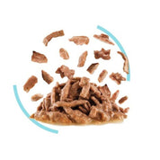 Pack 12x  Royal Canin Pouch Sensory Feel: Alimento húmedo para gatos adultos, diseñado para estimular el sentido del gusto y tacto.