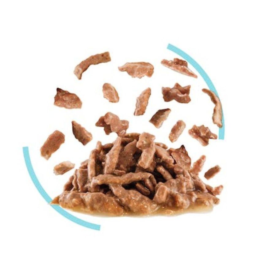 Pack 12x  Royal Canin Pouch Sensory Feel: Alimento húmedo para gatos adultos, diseñado para estimular el sentido del gusto y tacto.