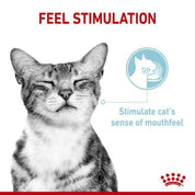 Pack 12x  Royal Canin Pouch Sensory Feel: Alimento húmedo para gatos adultos, diseñado para estimular el sentido del gusto y tacto.