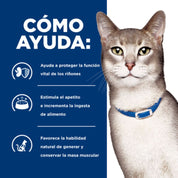 Infografía de Hill's sobre cómo ayuda la fórmula renal k/d Kidney Care en gatos adultos con daño renal
