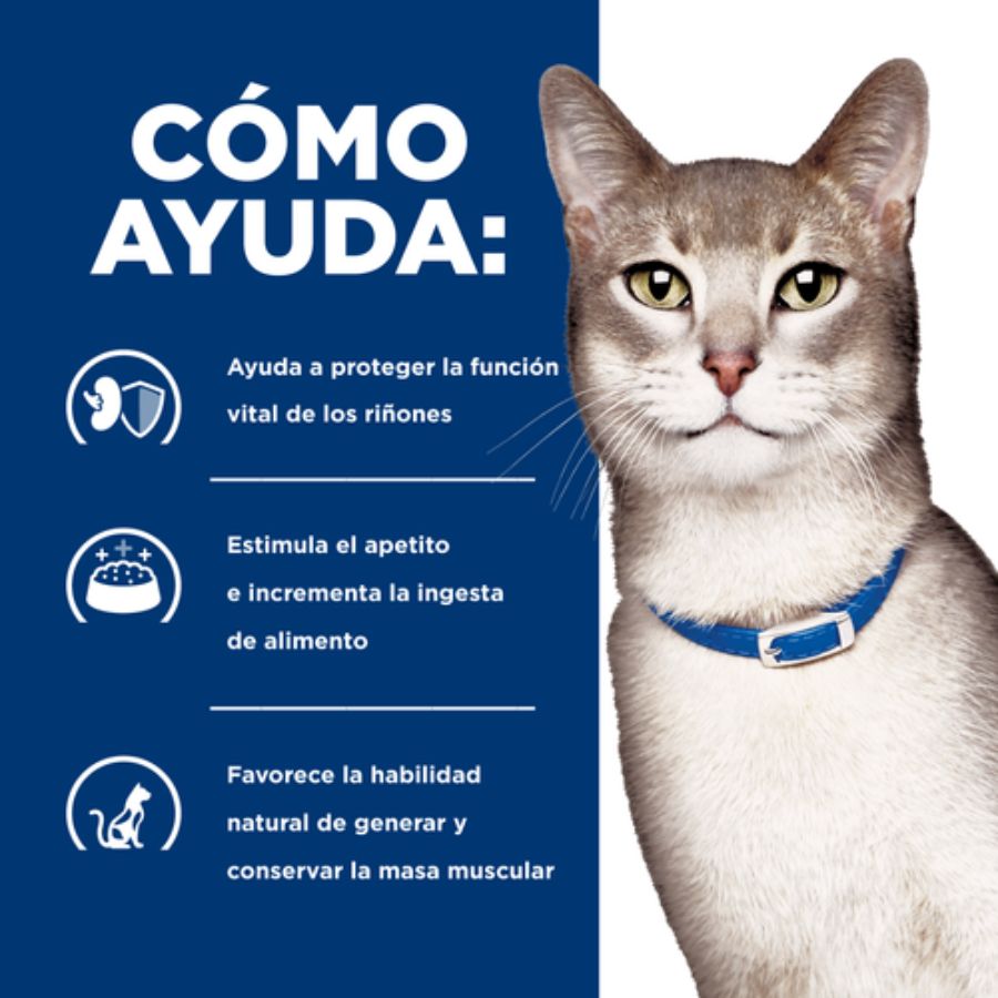 Infografía de Hill's sobre cómo ayuda la fórmula renal k/d Kidney Care en gatos adultos con daño renal
