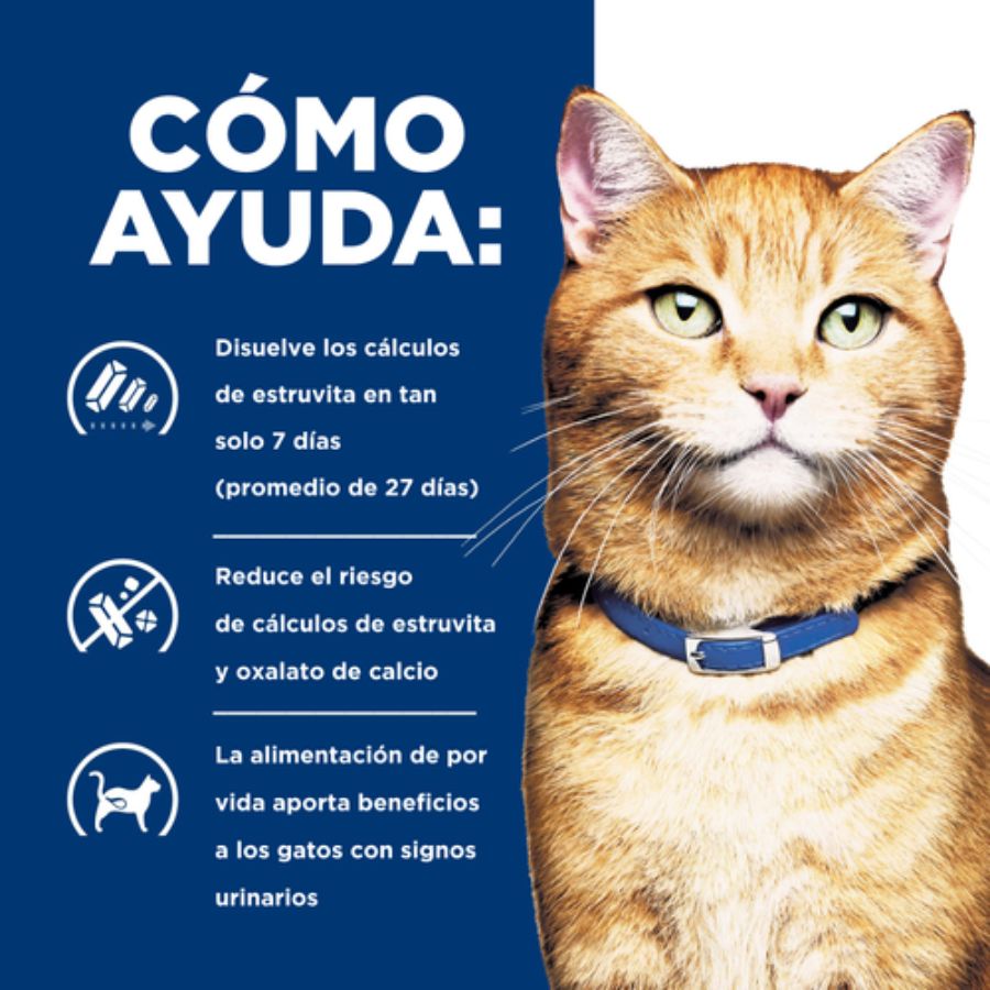Pack 24x Hills Lata c/d Urinary Care 156GR para Gatos, alimento húmedo clínico con pollo que apoya la salud urinaria y reduce el riesgo de cálculos.