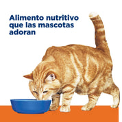 Pack 24x Hills Lata c/d Urinary Care 156GR para Gatos, alimento húmedo clínico con pollo que apoya la salud urinaria y reduce el riesgo de cálculos.