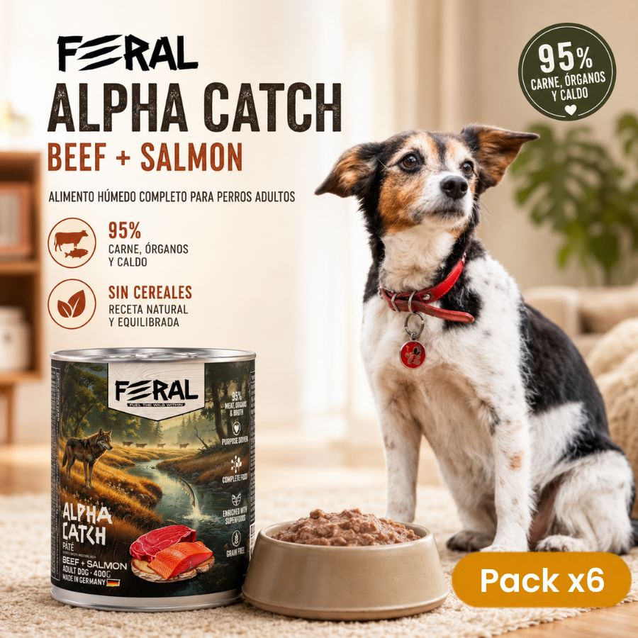 Pack x6 de Feral Alpha Catch 400 g junto a un perro: 95 % de carne, órganos y caldo, sin cereales, hecho en Alemania