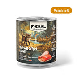 Pack 6x Feral Rawborn Hunt Chicken + Salmon Paté — Alimento húmedo gatitos 400 g