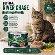 Pack x6 de Feral River Chase junto a un gato: 97 % de carne y 78 % de humedad en cada lata