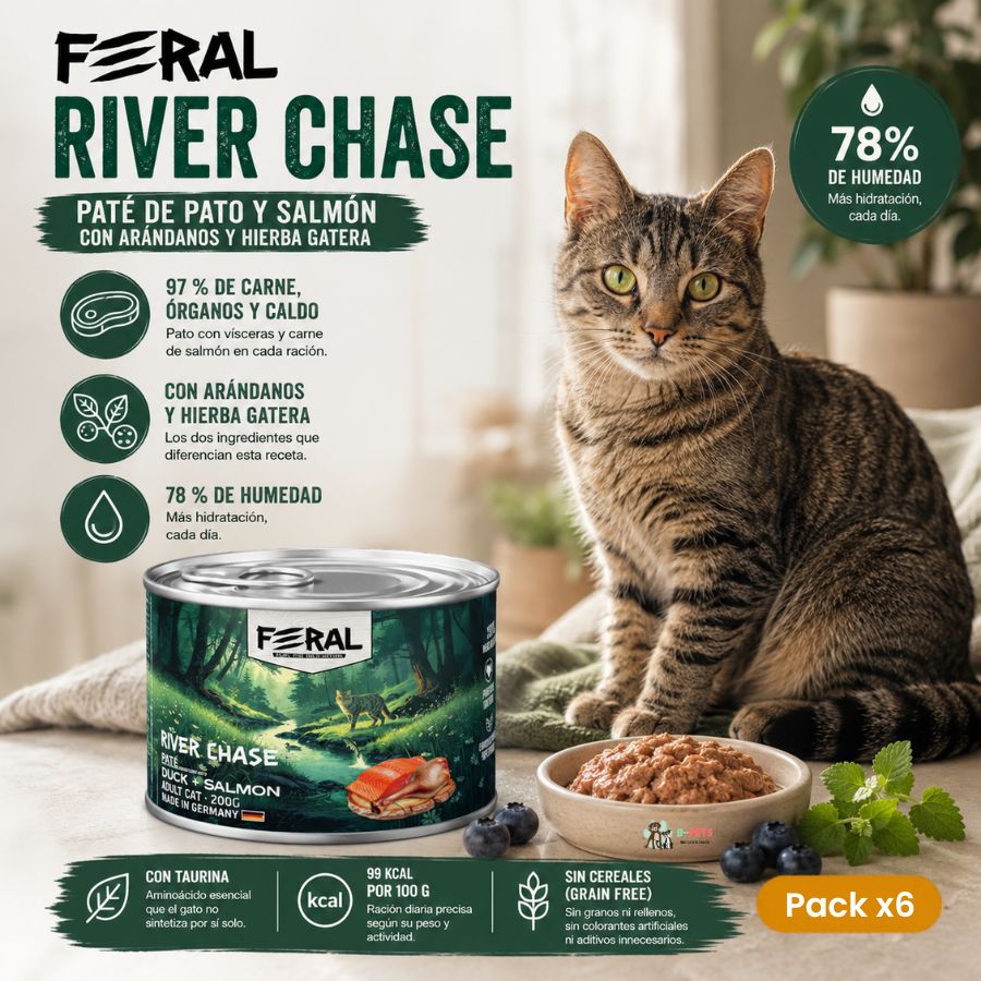 Pack x6 de Feral River Chase junto a un gato: 97 % de carne y 78 % de humedad en cada lata