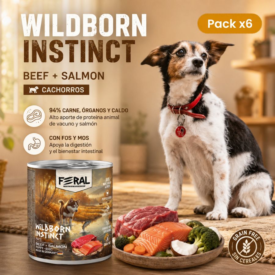 Pack x6 de Feral Wildborn Instinct 400 g junto a un perro: 94 % de carne, con FOS y MOS, sin cereales