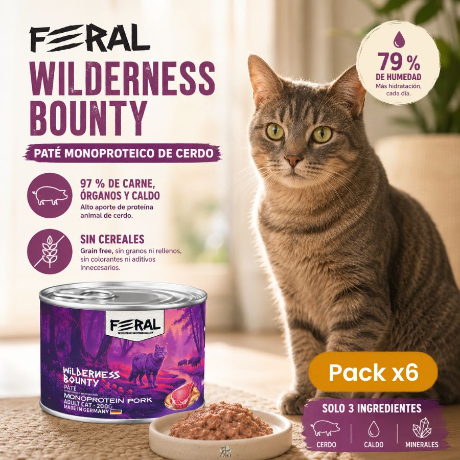 Pack 6x Feral Wilderness Bounty Monoprotein Pork Paté — Alimento húmedo gatos adultos 200 g