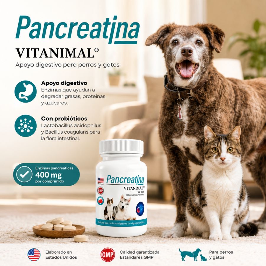 Infografía de Pancreatina Vitanimal con perro y gato: apoyo digestivo enzimático y 400 mg de enzimas por comprimido