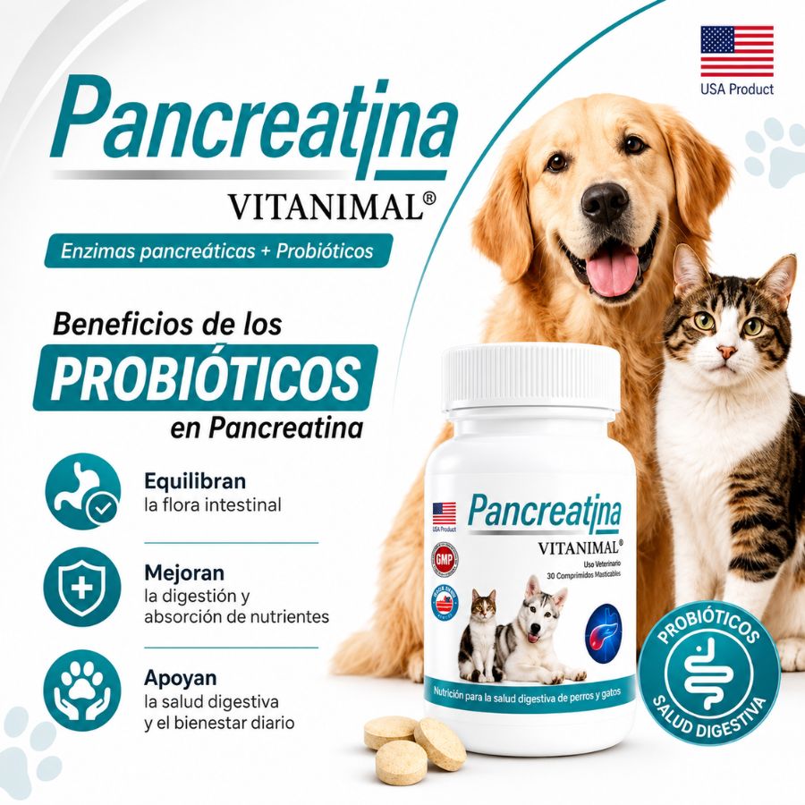 Infografía de los probióticos de Pancreatina Vitanimal: Lactobacillus acidophilus y Bacillus coagulans para perros y gatos