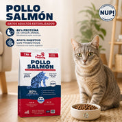 Gato gris junto al saco de Pet Family Pollo Salmón 7kg con beneficios de proteína animal y probióticos