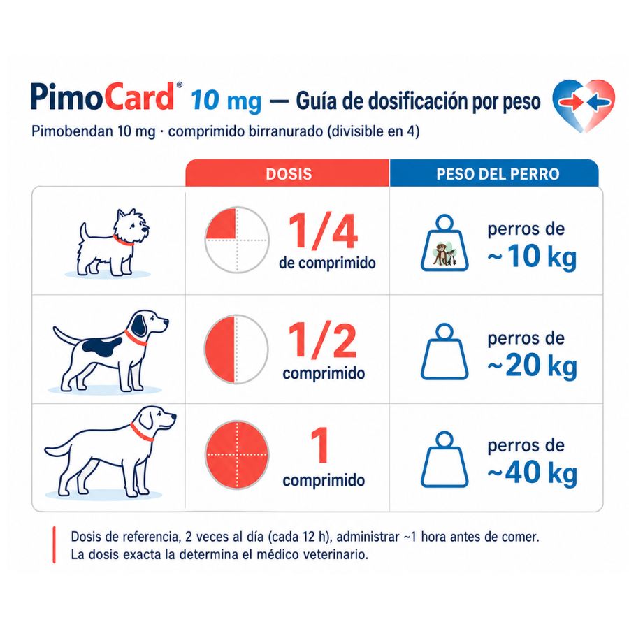 Tabla de dosificación de Pimocard 10 mg por peso del perro: un cuarto de comprimido para 10 kg, medio para 20 kg, uno completo para 40 kg, cada 12 horas