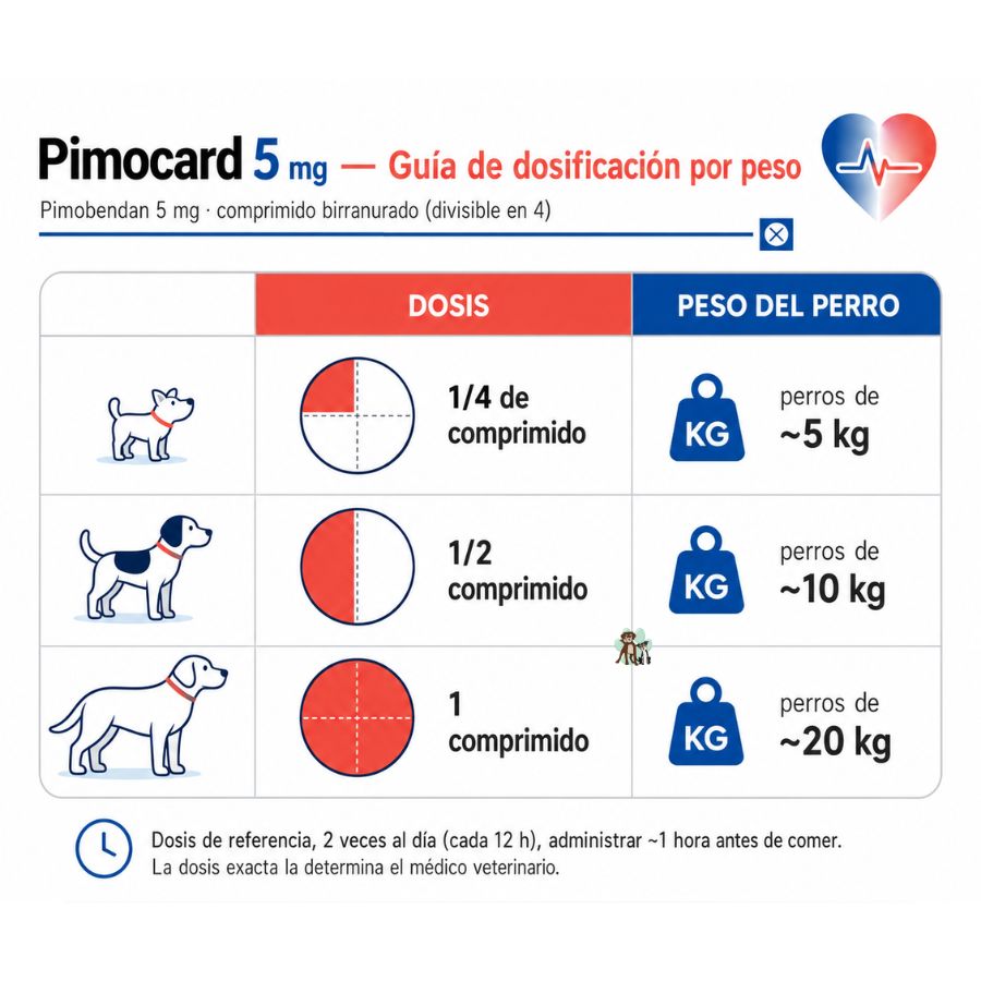Tabla de dosificación de Pimocard 5 mg por peso del perro: un cuarto de comprimido para 5 kg, medio para 10 kg, uno completo para 20 kg, cada 12 horas