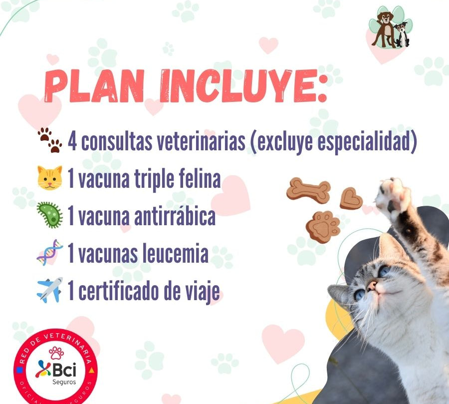 Contrata el mejor plan anual de salud para gatos adultos en Santiago. Consultas veterinarias y vacunas. Cuida a tu mascota con B-Pets.