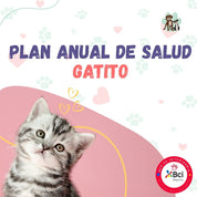 Contrata el mejor plan anual de salud para gatitos en Santiago. Consultas veterinarias y vacunas. Cuida a tu mascota con B-Pets.