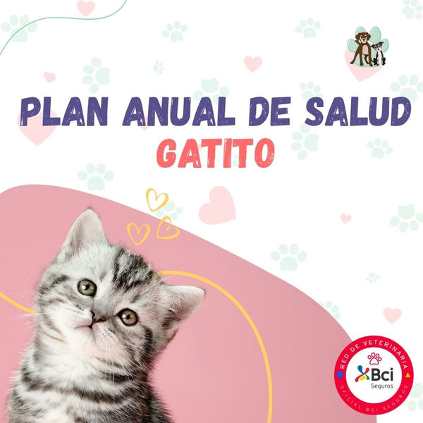 Contrata el mejor plan anual de salud para gatitos en Santiago. Consultas veterinarias y vacunas. Cuida a tu mascota con B-Pets.