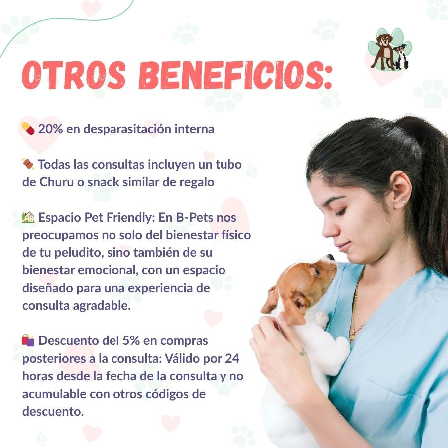 Contrata el mejor plan anual de salud para perros cachorros en Santiago. Consultas veterinarias, vacunas y desparasitación incluidas. Cuida a tu mascota con B-Pets.