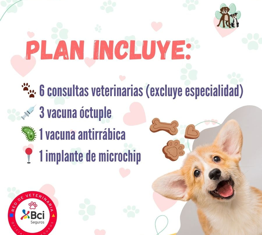 Contrata el mejor plan anual de salud para perros cachorros en Santiago. Consultas veterinarias, vacunas y desparasitación incluidas. Cuida a tu mascota con B-Pets.