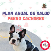 Contrata el mejor plan anual de salud para perros cachorros en Santiago. Consultas veterinarias, vacunas y desparasitación incluidas. Cuida a tu mascota con B-Pets.