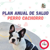 Plan Anual de Salud Perro Cachorro