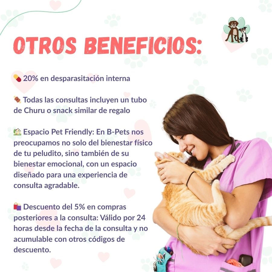 Contrata el mejor plan anual de salud para gatos adultos en Santiago 🐱. Consultas veterinarias y vacunas. Cuida a tu mascota con B-Pets.