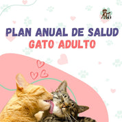 Contrata el mejor plan anual de salud para gatos adultos en Santiago 🐱. Consultas veterinarias y vacunas. Cuida a tu mascota con B-Pets.
