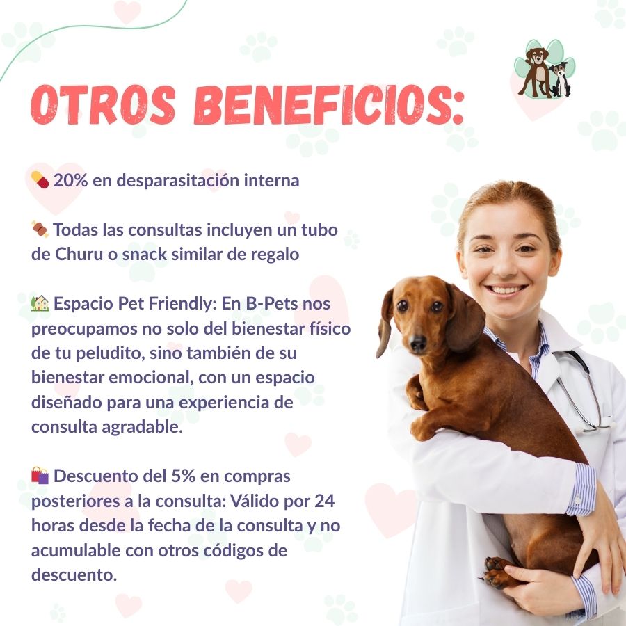 Contrata el mejor plan anual de salud para perros adultos en Santiago 🐶. Consultas veterinarias, vacunas y desparasitación incluidas. Cuida a tu mascota con B-Pets.