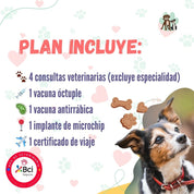 Contrata el mejor plan anual de salud para perros adultos en Santiago. Consultas veterinarias, vacunas y desparasitación incluidas. Cuida a tu mascota con B-Pets.