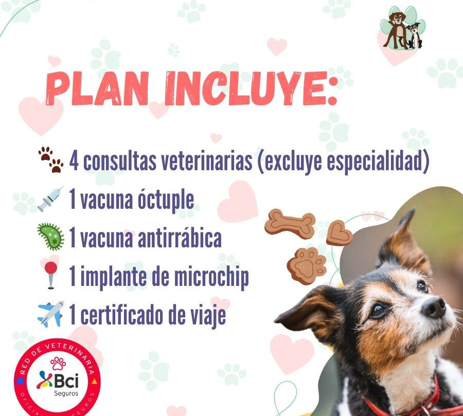 Contrata el mejor plan anual de salud para perros adultos en Santiago. Consultas veterinarias, vacunas y desparasitación incluidas. Cuida a tu mascota con B-Pets.
