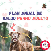 Contrata el mejor plan anual de salud para perros adultos en Santiago. Consultas veterinarias, vacunas y desparasitación incluidas. Cuida a tu mascota con B-Pets.