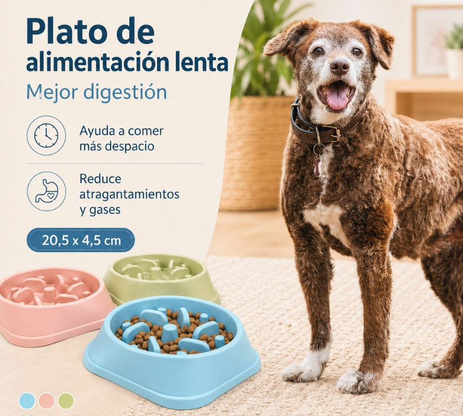 Plato de Alimentación Lenta, promueve una comida saludable y previene problemas digestivos en tu mascota. Diseño antideslizante, duradero y fácil de limpiar.