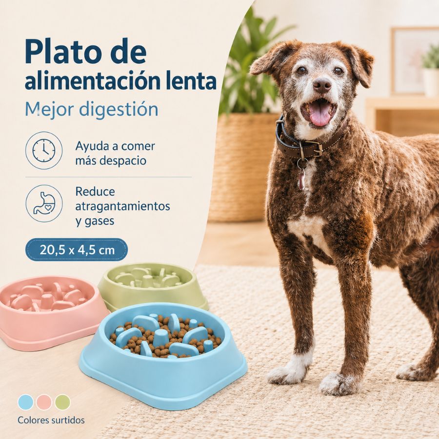 Plato de Alimentación Lenta, promueve una comida saludable y previene problemas digestivos en tu mascota. Diseño antideslizante, duradero y fácil de limpiar.
