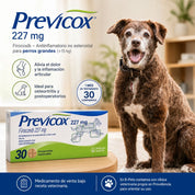 Infografía de Previcox 227 mg 30 comprimidos para perros grandes: alivio del dolor articular y alta selectividad COX-2