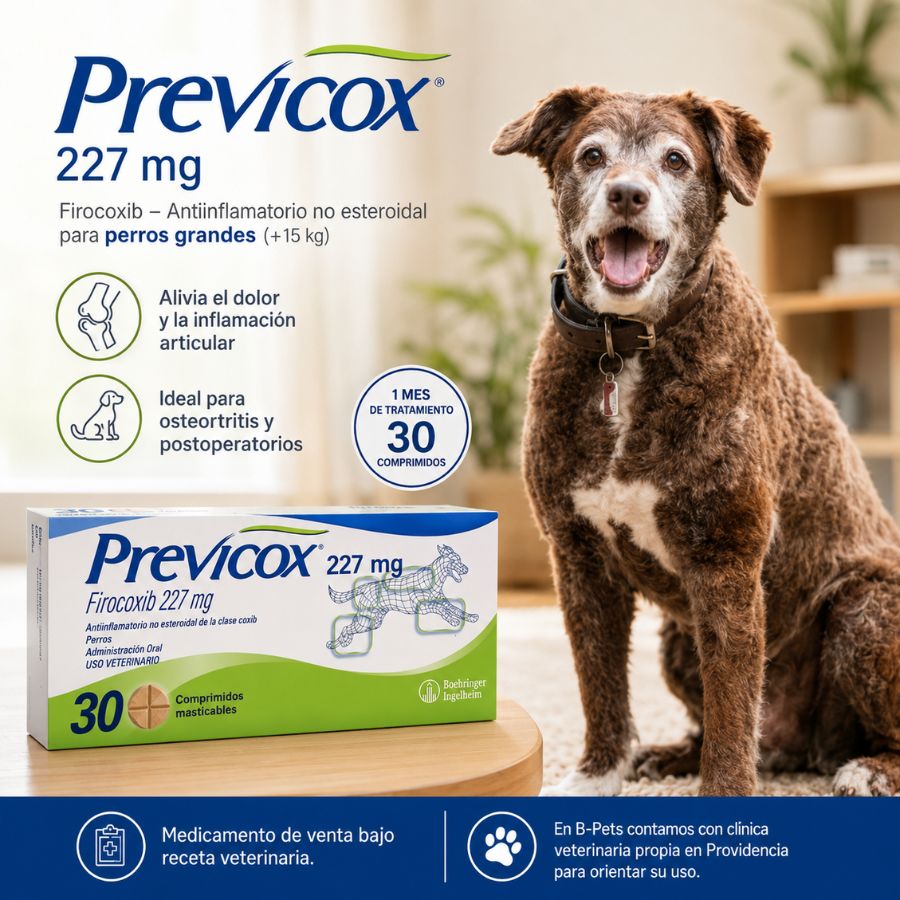 Infografía de Previcox 227 mg 30 comprimidos para perros grandes: alivio del dolor articular y alta selectividad COX-2