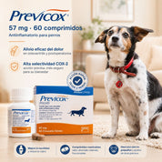 Infografía de Previcox 57 mg para perros: alivio del dolor, alta selectividad COX-2 y acción en 2 horas