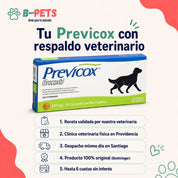 Compra de Previcox en B-Pets: receta validada por veterinaria, clínica en Providencia y despacho en RM