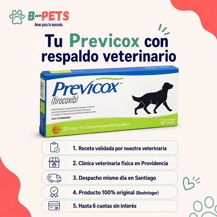 Compra de Previcox en B-Pets: receta validada por veterinaria, clínica en Providencia y despacho en RM