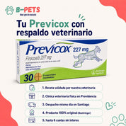 Compra de Previcox en B-Pets: receta validada por veterinaria, clínica en Providencia y despacho en RM