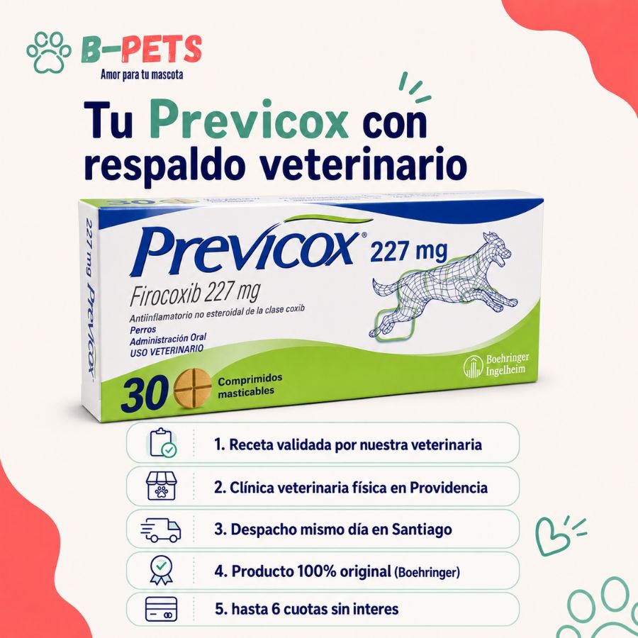 Compra de Previcox en B-Pets: receta validada por veterinaria, clínica en Providencia y despacho en RM